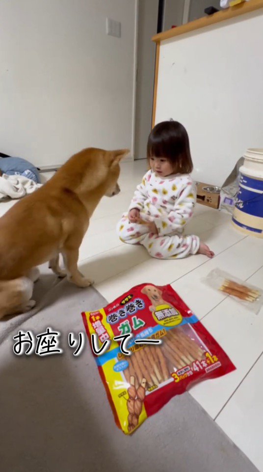 女の子に「おすわり」と言われて、その場に座る犬