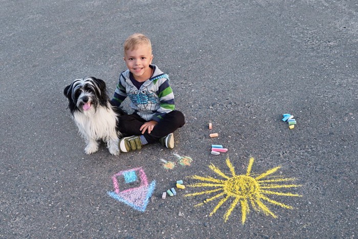 チョークで落書きされた地面に男の子と一緒に座る犬