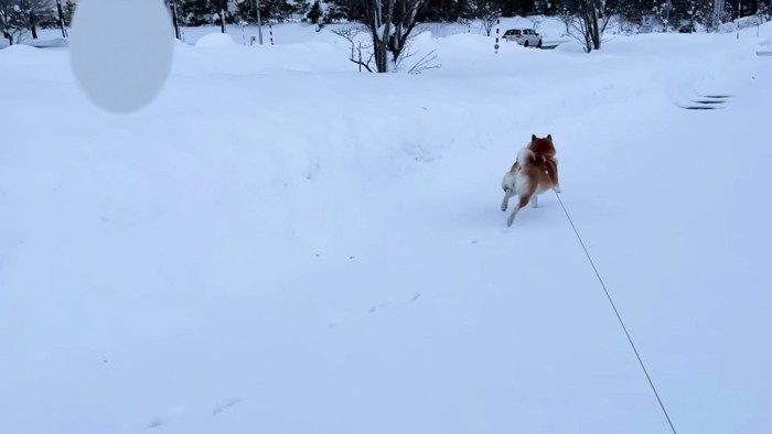 お母さんを発見！！