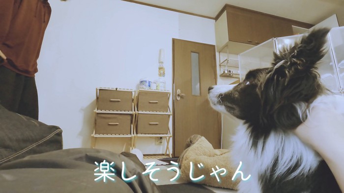 パパさんが登場すると…