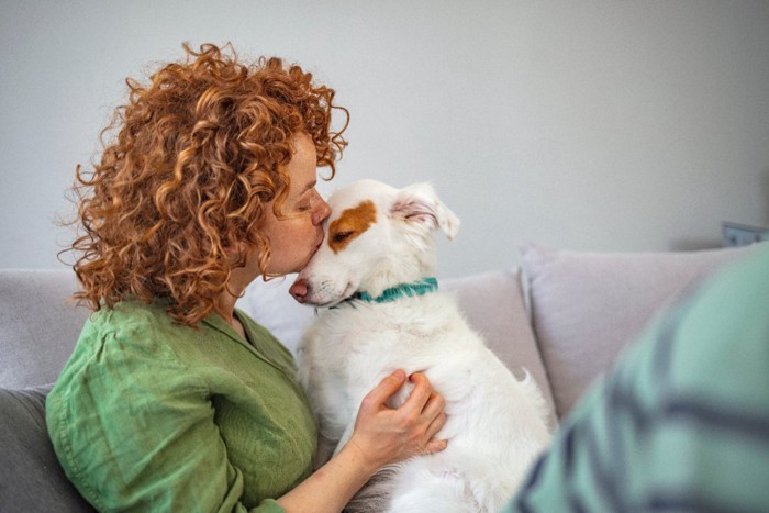 日たいにキスされている犬