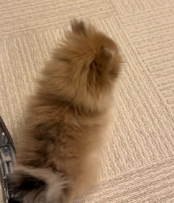 なぜかバック…！！