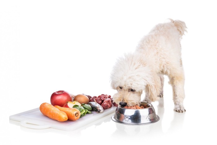 犬と食材