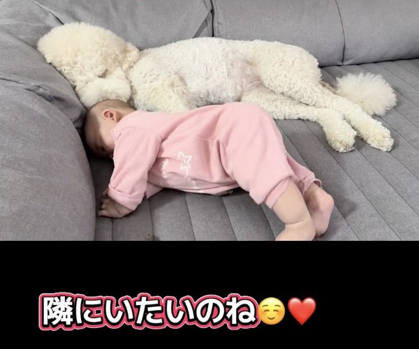 ウナちゃんにピトッ