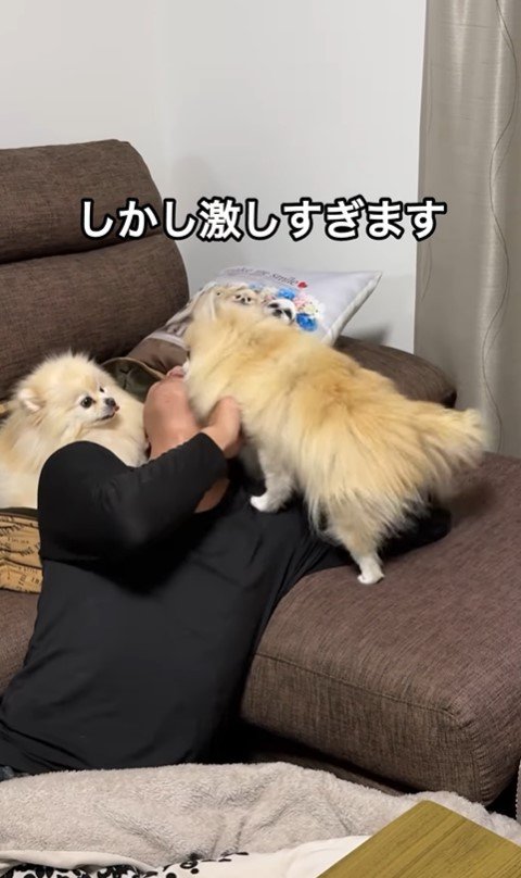 ボールを取ってもらいたいクララちゃん⑩