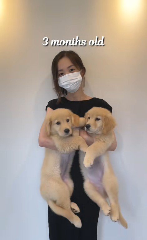 ちあちゃん&ひまわりちゃんの成長2