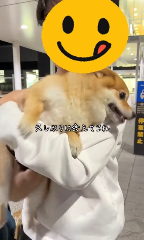 あずきちゃんとママの再会3