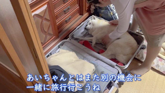 「一緒には行けないよ」