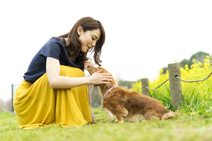 黄色のスカートの女性と愛犬