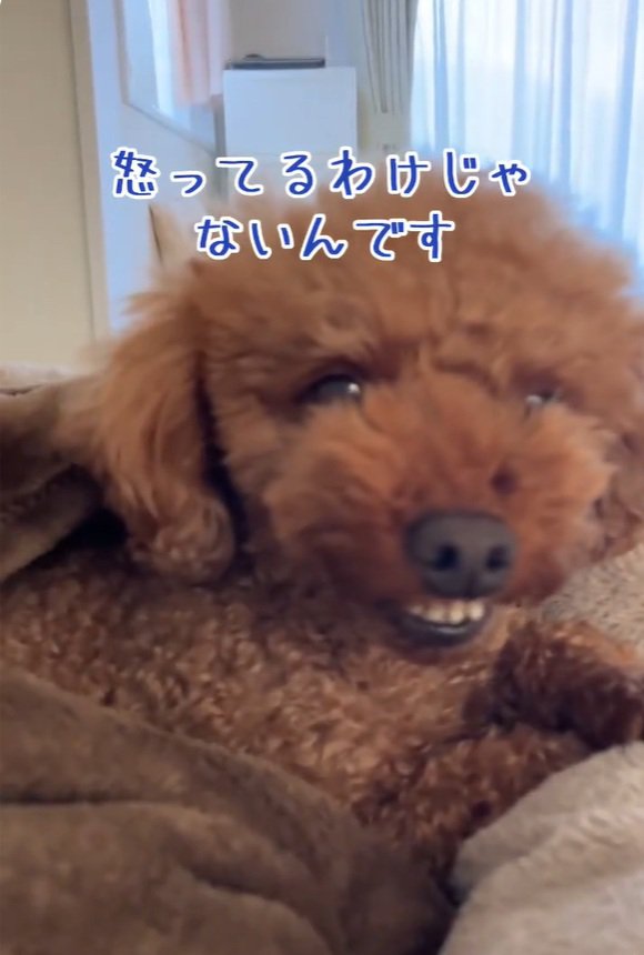 眠たいえるもくん1