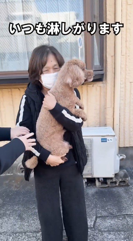 犬を抱っこするおばあちゃん
