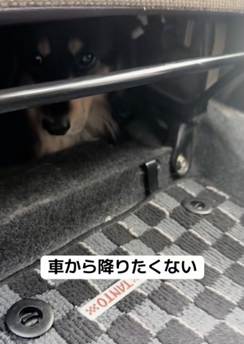 強い意志を感じます