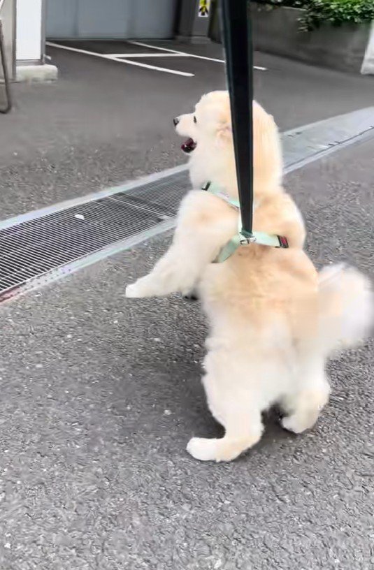 「推し」がいる場所♡