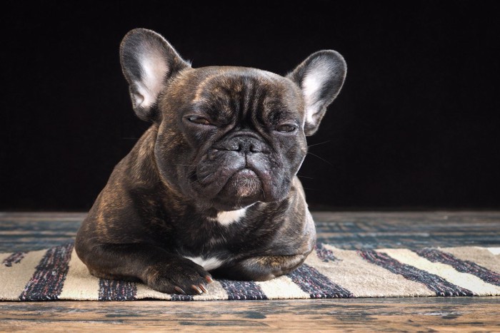 細目で見るフレブル