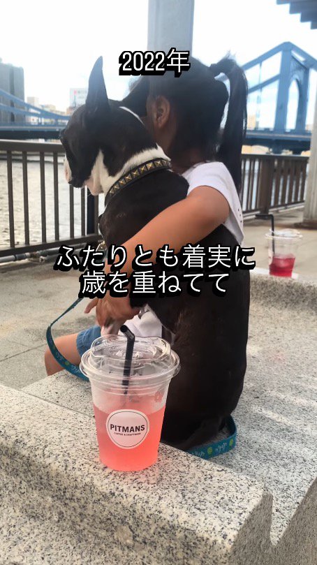 椅子に並んで座る犬と女の子