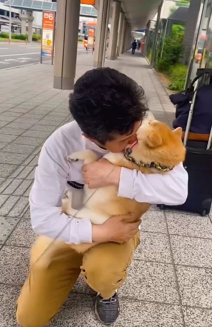 こさめちゃんを抱き寄せるパパ