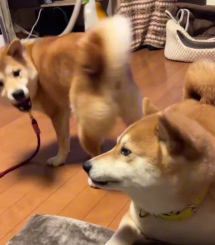 「こんな感じ！？」