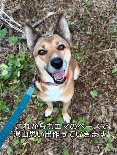 幸せそうな表情に感動