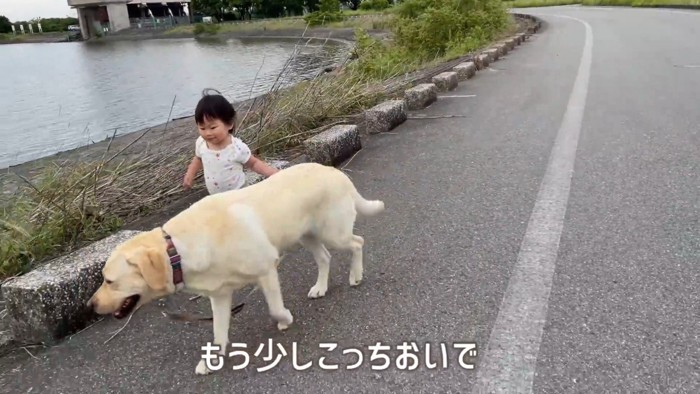 危ないので声を掛けたら…