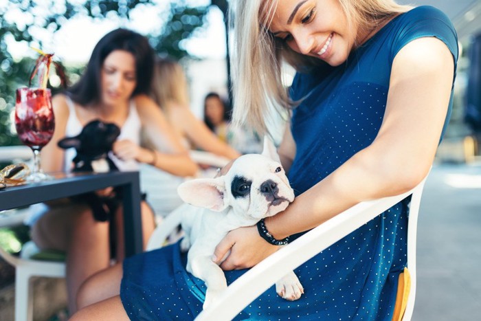 カフェで犬とくつろぐ女性