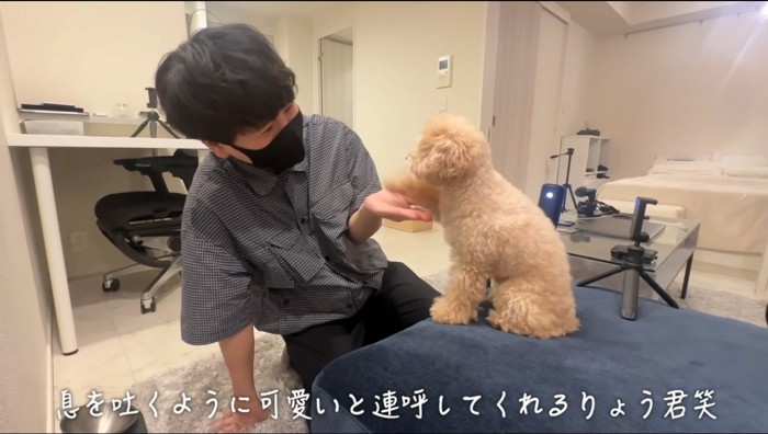 男性の手の上に前足を乗せる犬