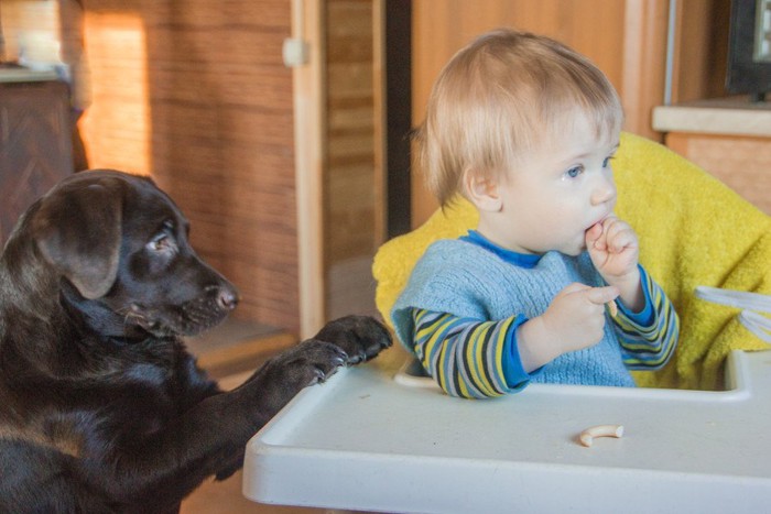 おやつを食べる子どもと黒い犬