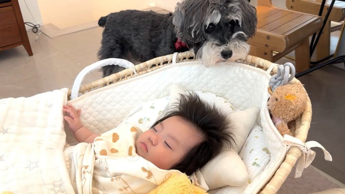 強引に奪わないところが優しい!