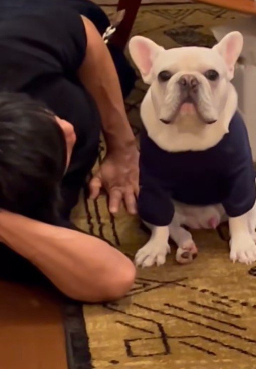 満足そうなお顔♪