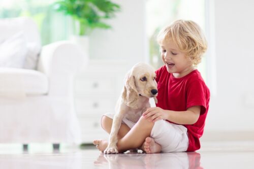 子犬とこども