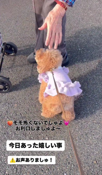 モモちゃんが近づくと…