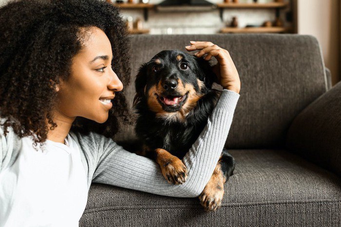 ソファーに座る犬を見つめる女性