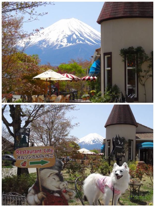 建物の後ろに富士山