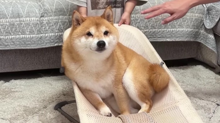 目を細めてうっとり