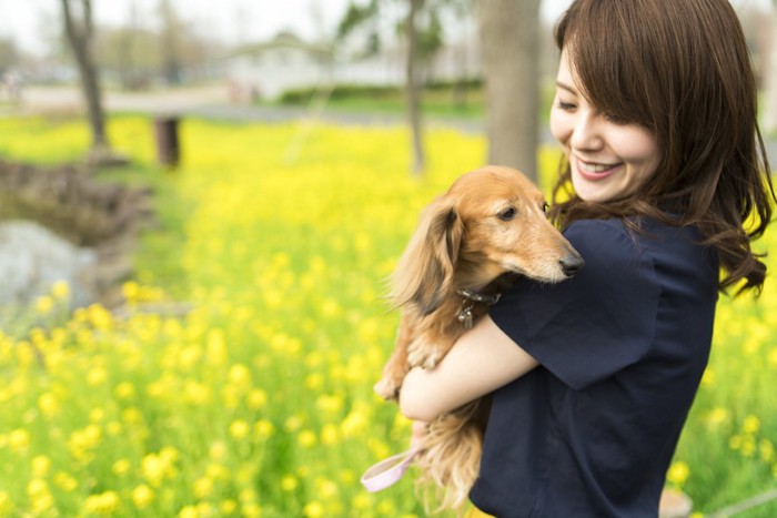 ダックスフンドを抱っこして散歩する女性