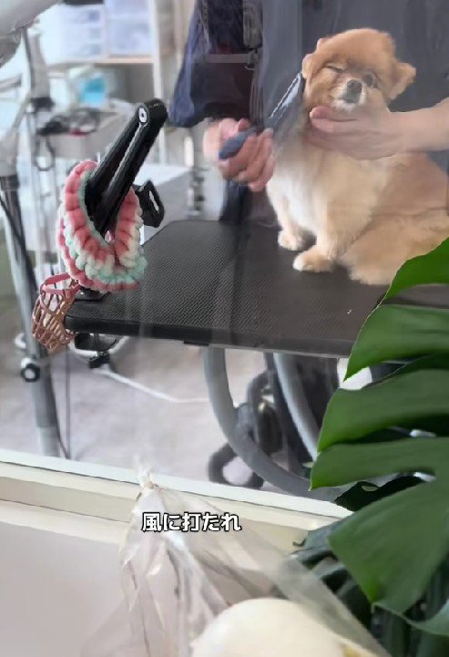 「きもちいいわ～」
