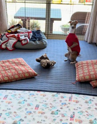 普通に座るかと思ったら…?