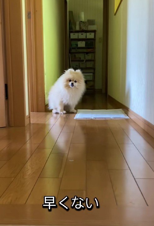 なかなか出発できない