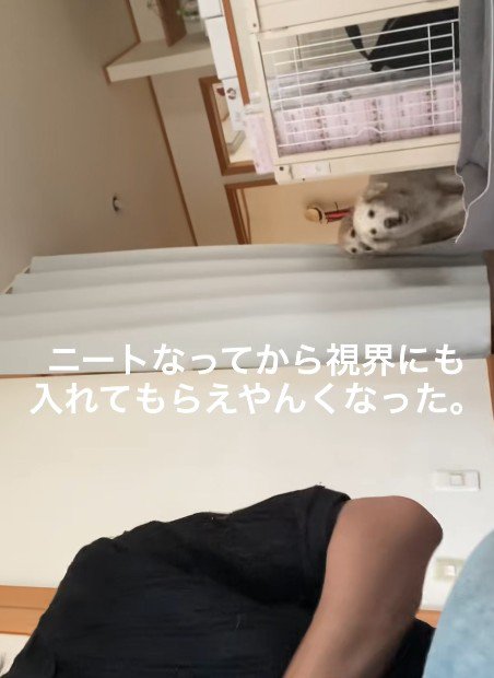 投稿主さんのもとへ