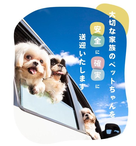 スクショ：ペットタクシーCOCOタク