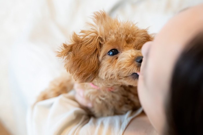 女性の顔を舐める犬