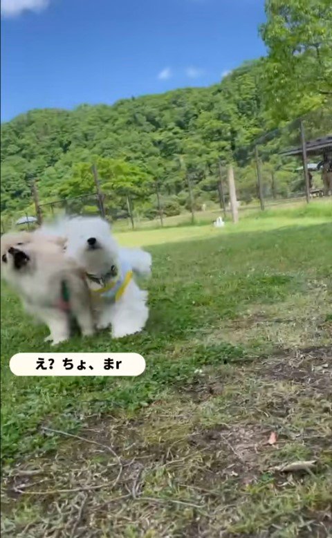 お友達に嫉妬されたむぎ君7