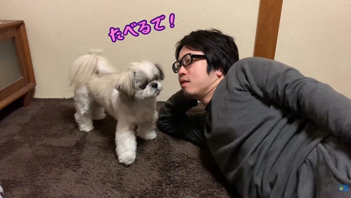 みかんを食べたいてんぽさん2