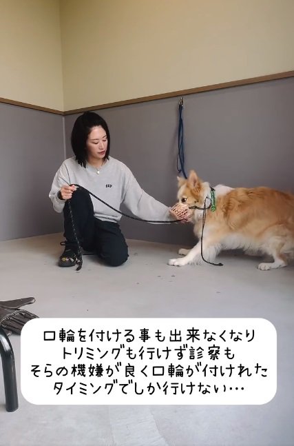 口輪もつけられないそらくん