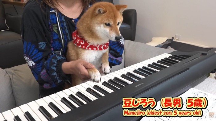 まずは豆じろうくんが挑戦