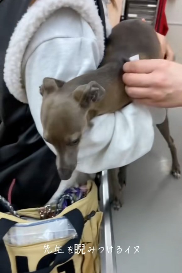 病院にきたティナちゃん