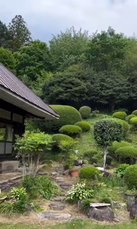 広いお庭を駆け回るイヴちゃん