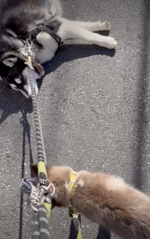 ナイスアシスト！