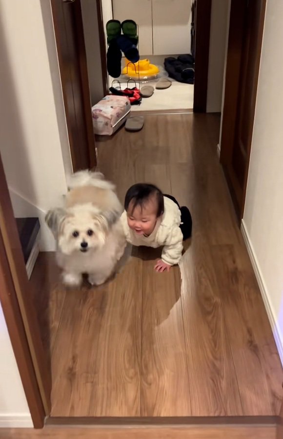 取り繕う小太郎くん