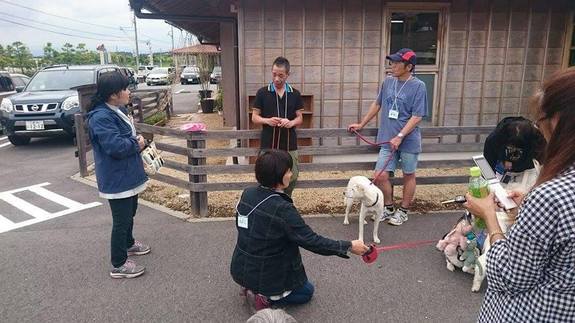 活動の様子