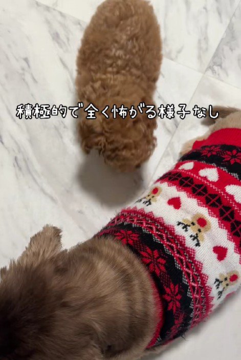 元気よくあいさつ!